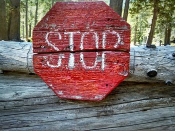 Close-up of text on wooden plank on tree trunk