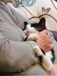 Cat sleeping on bed at home