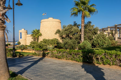 Street by palm trees and buildings against sky