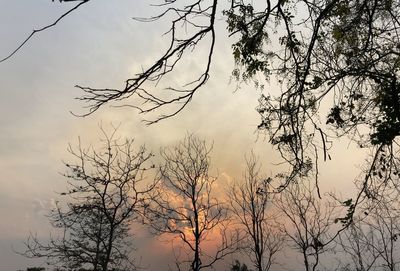 Low angle view of silhouette bare tree against sky at sunset