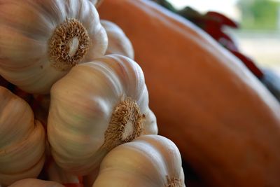 Close-up of vegetables 