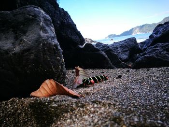 Rear view of person on rocks