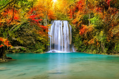 Scenic view of waterfall in forest during autumn