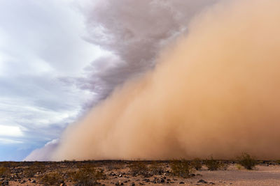 A dense haboob dust storm moves across the desert near phoenix, arizona.