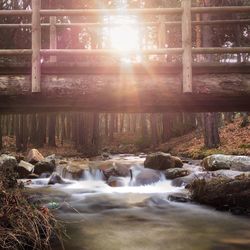 Scenic view of waterfall