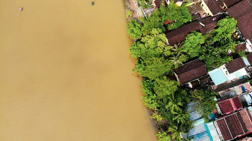 High angle view of tree by building against sky