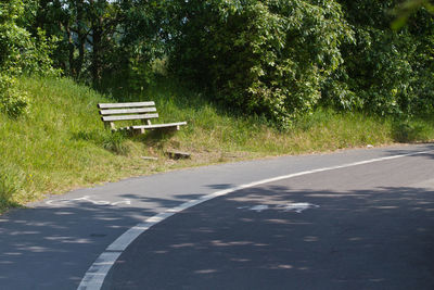 Empty road along trees