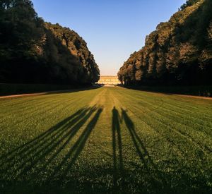 Scenic view of field against clear sky at sunset