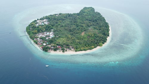 Aerial view of island on sea