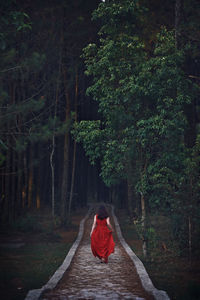 Rear view of woman walking on footpath amidst trees in forest