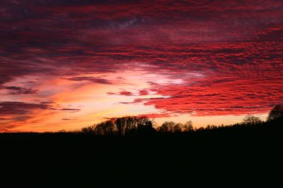 Silhouette trees against sky during sunset