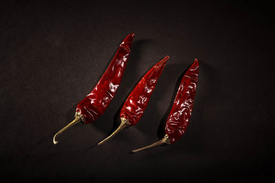 High angle view of red chili pepper on table against black background