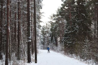 Man walking in forest during winter