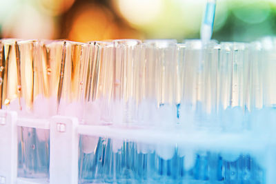 Close-up of test tubes in rack at medical laboratory