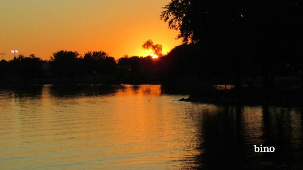 water, sunset, tree, reflection, sky, plant, lake, scenics - nature, beauty in nature, tranquility, silhouette, nature, no people, orange color, tranquil scene, waterfront, outdoors, idyllic