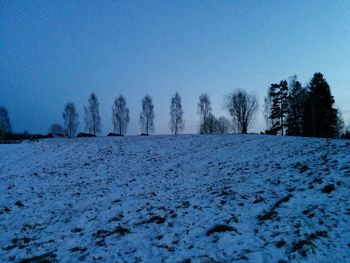 Bare trees on snow covered landscape