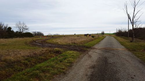 Country road passing through grassy field