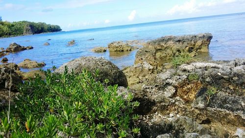 Scenic view of sea against sky