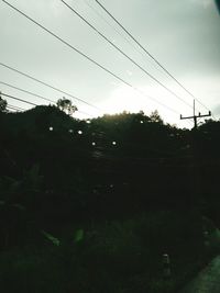 Silhouette plants and electricity pylon against sky