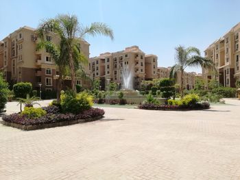 Street by palm trees and buildings against sky