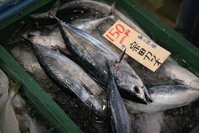 High angle view of fish for sale in market