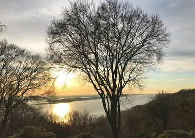 Silhouette bare tree by lake against sky during sunset