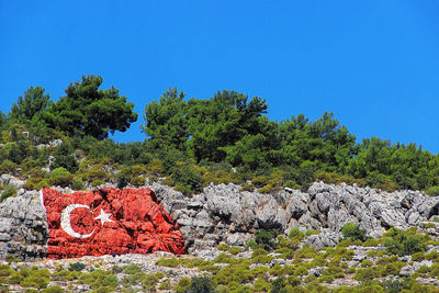 Trees and rocks against clear blue sky
