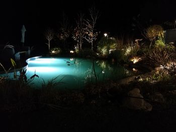 Illuminated trees by plants against sky at night