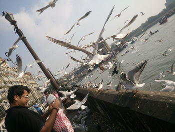 Tilt shot of man feeding seagulls on retaining wall against sky