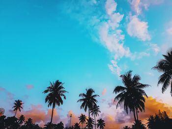 Low angle view of silhouette palm trees against sky