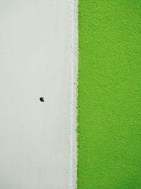 High angle view of white wall