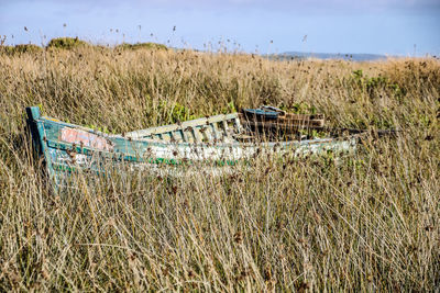 Plants growing on field by sea against sky