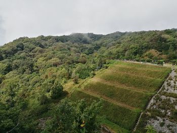 High angle view of agricultural field against sky