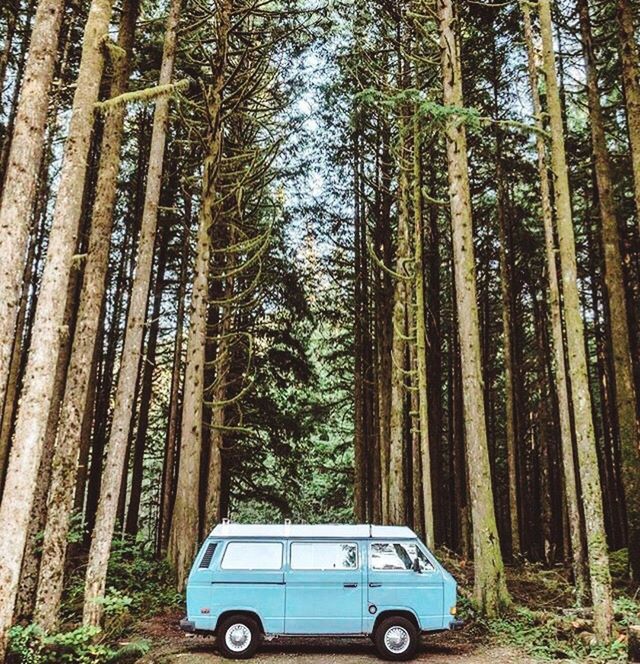 Andrey Levyakov❄️🏂🤘🏿