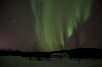 Scenic view of trees against sky at night