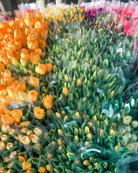 High angle view of flowering plants at market