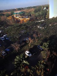 High angle view of trees and buildings in city