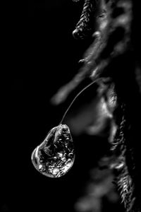 Close-up of crystal ball against black background