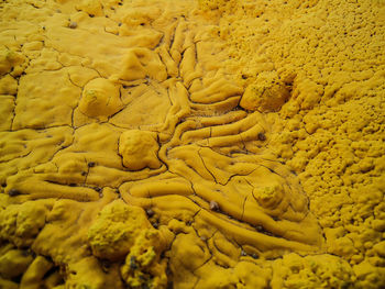 Texture of a dried yellow paint on a wood