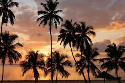 Silhouette palm trees against sky at sunset in sansibar