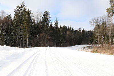 snow