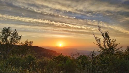 Scenic view of landscape against sky during sunset