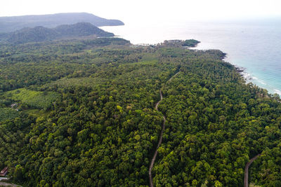 High angle view of trees and sea against sky