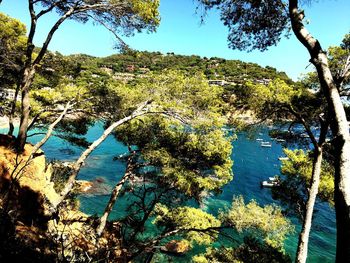 Scenic view of calm sea against clear sky