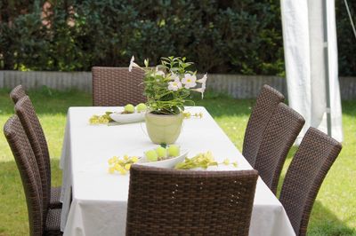 Close-up of potted plants on table