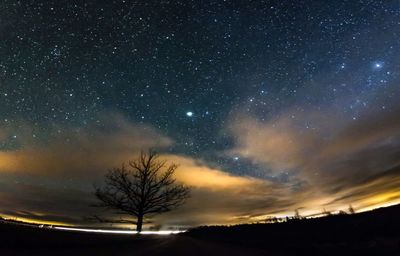 Low angle view of star field against star field