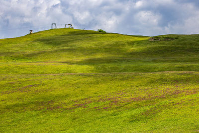 Scenic view of grassy field against sky