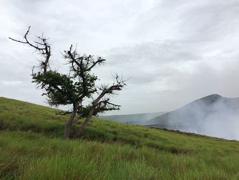 Scenic view of grassy field against cloudy sky