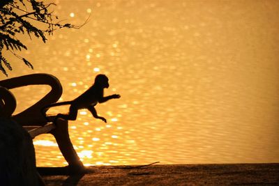 Silhouette person against sky during sunset