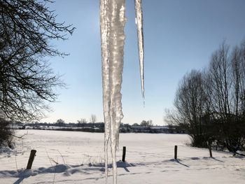 Bare trees on snow covered field against sky